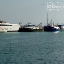 фото из отзыва ID 1427286