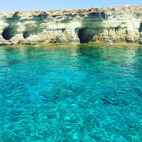 фото из отзыва ID 1427722