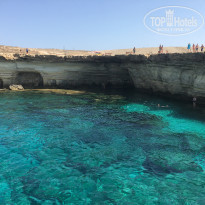 фото из отзыва ID 1427722