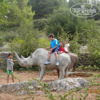 фото из отзыва ID 1428067