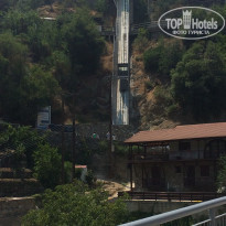 фото из отзыва ID 1431278