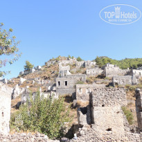 фото из отзыва ID 1431417