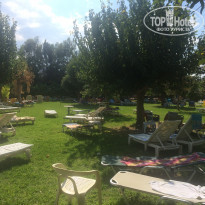 фото из отзыва ID 1431638