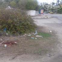 фото из отзыва ID 1433409