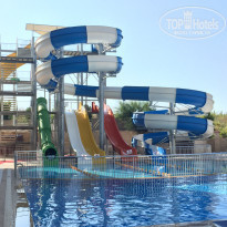 фото из отзыва ID 1435850