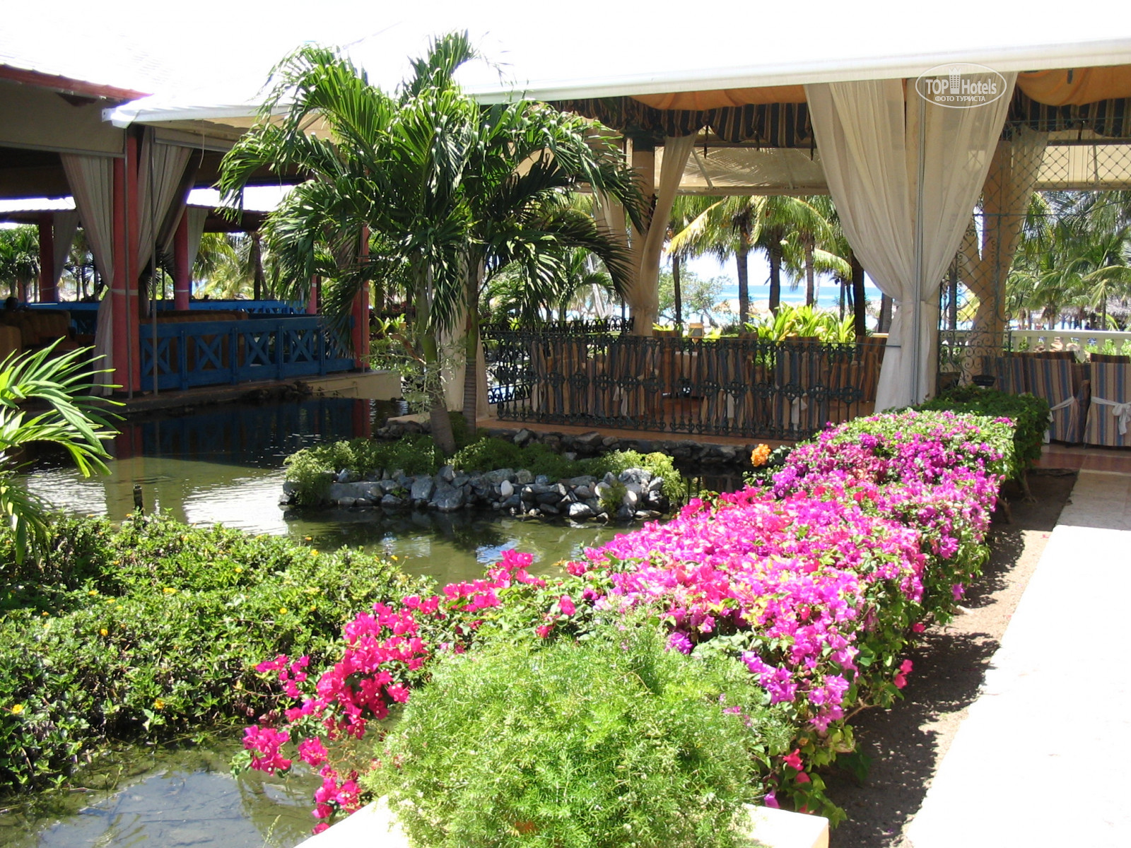 Paradisus varadero 5