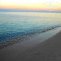 фото из отзыва ID 1438105