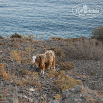 фото из отзыва ID 1443052