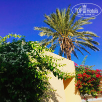 фото из отзыва ID 1444958