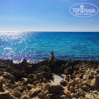 фото из отзыва ID 1444958