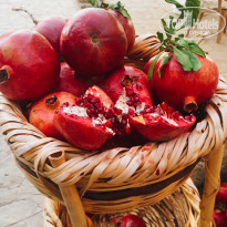 фото из отзыва ID 1444958