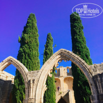 фото из отзыва ID 1444958