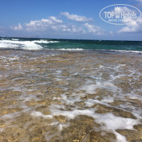 фото из отзыва ID 1446465