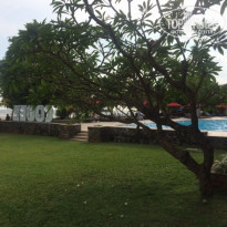 фото из отзыва ID 1446882