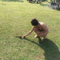 фото из отзыва ID 1446882