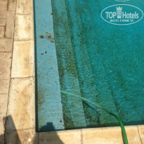 фото из отзыва ID 1447477