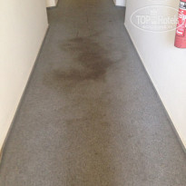 фото из отзыва ID 1447477