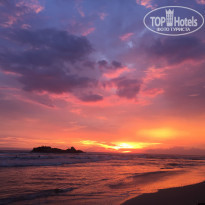 фото из отзыва ID 1448195