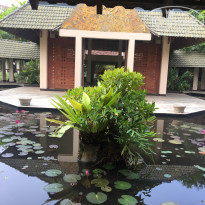 фото из отзыва ID 1448195