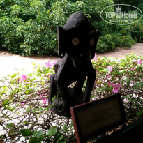 фото из отзыва ID 1449670