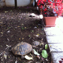 фото из отзыва ID 1449793