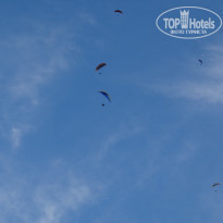 фото из отзыва ID 1450573