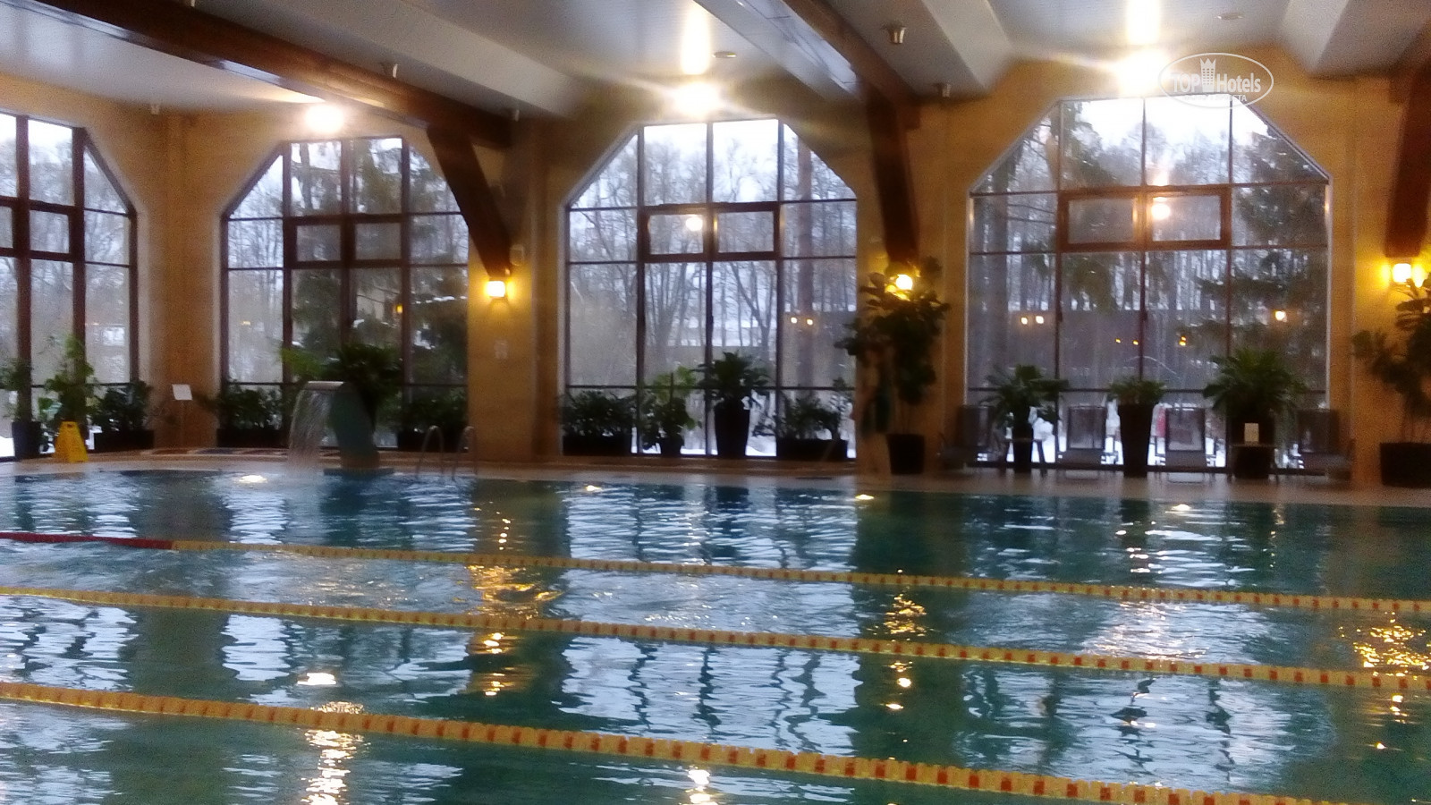 отель ареал бассейн