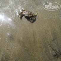 фото из отзыва ID 1466752