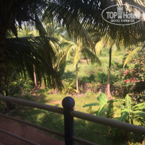 фото из отзыва ID 1466754