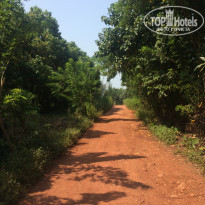 фото из отзыва ID 1466754