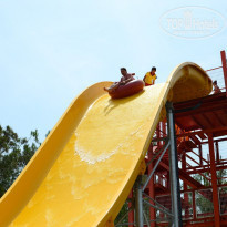 фото из отзыва ID 1469974