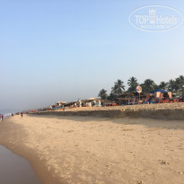 фото из отзыва ID 1473243