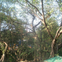 фото из отзыва ID 1475907