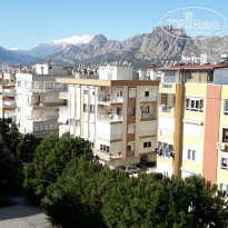 фото из отзыва ID 1476205