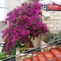 фото из отзыва ID 1476531