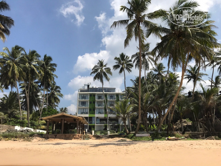 Васкадува шри ланка. Ambalangoda Beach Шри-Ланка. Амбалангода отель Шри Ланка. Gloria Grand 3 Шри Ланка Шри Ланка. Hotel j Ambalangoda июль.