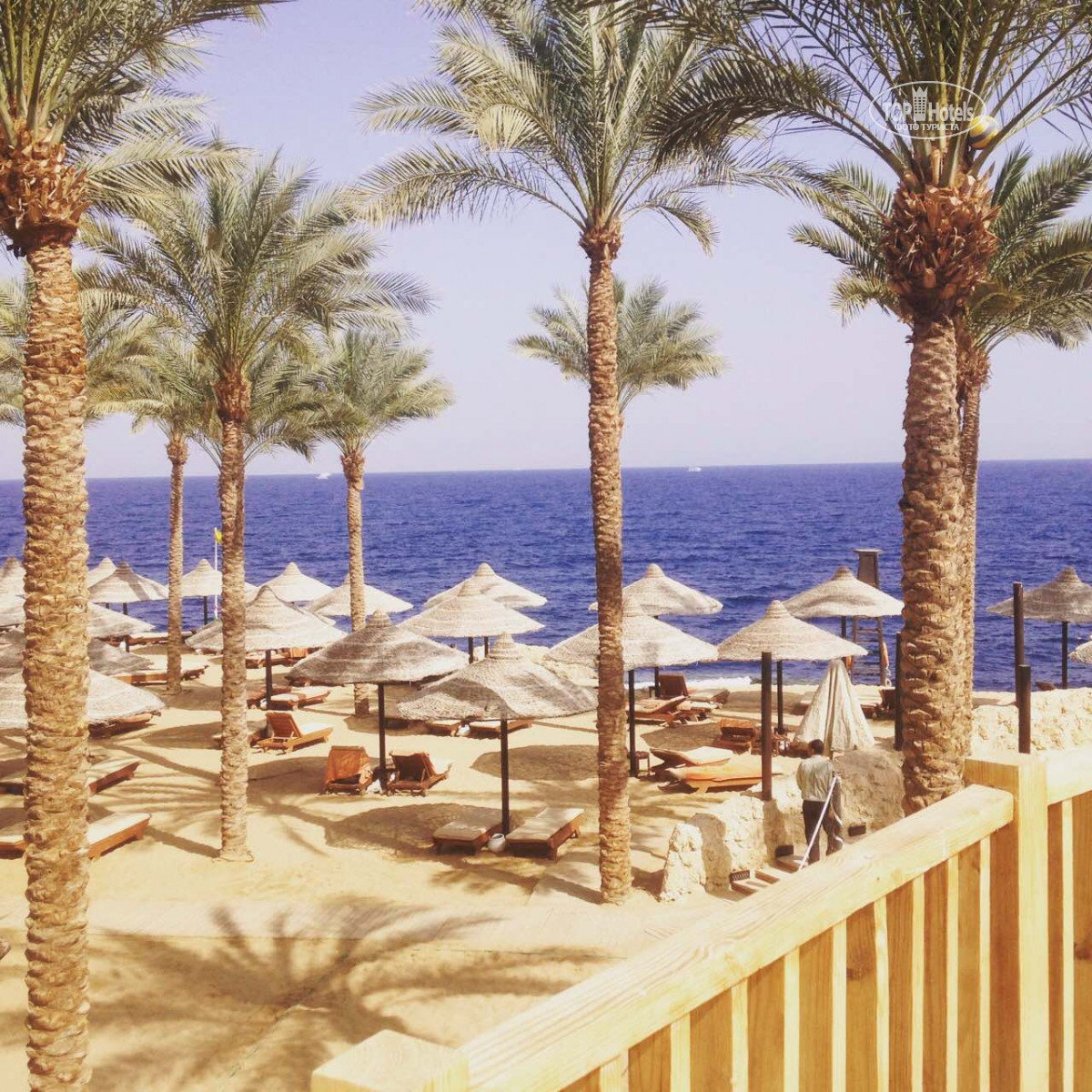 The grand hotel sharm. Grand Hotel Sharm 5 Шарм-Эль-Шейх. Grand Hotel Sharm 5 пляж. The Grand Hotel Sharm 5* Шарм-Эль-Шейх, 320 м до моря. The Grand Hotel Sharm el Sheikh 5 пляж.