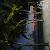 фото из отзыва ID 1479768