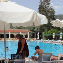 фото из отзыва ID 1483238