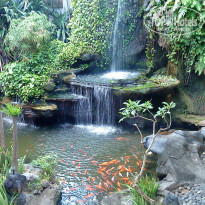 фото из отзыва ID 1484683