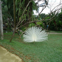 фото из отзыва ID 1484683