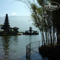 фото из отзыва ID 1484683