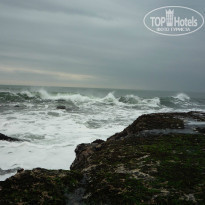 фото из отзыва ID 1484683