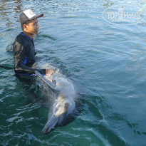 фото из отзыва ID 1484683