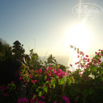 фото из отзыва ID 1484683