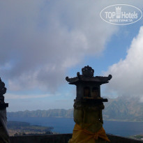 фото из отзыва ID 1484683