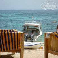 фото из отзыва ID 1484683