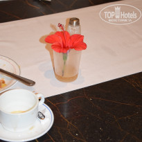 фото из отзыва ID 1485277