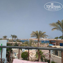 фото из отзыва ID 1488273