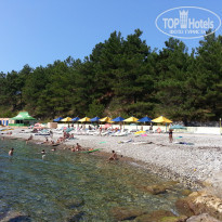 фото из отзыва ID 1490121